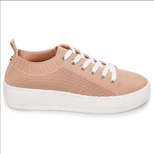 steve madden bardo sneaker